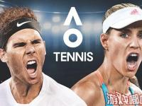 《澳洲国际网球（AO International Tennis）》由澳网官方授权的游戏，玩家们将操控纳达尔、费德勒等知名的网球运动员进行激烈的网球比赛。