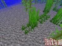 我的世界海草世界_我的世界海草怎么种？ 我的世界海草种植方法