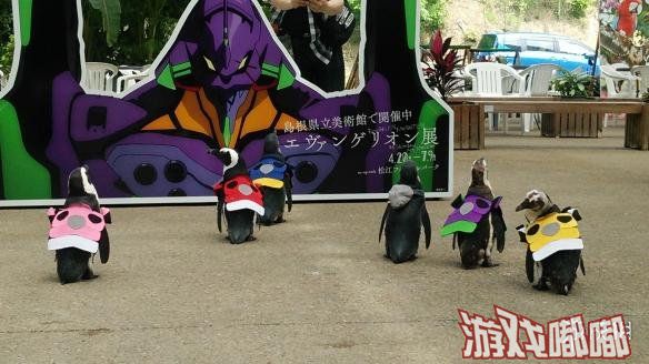 日本岛根县立美术馆举办了《EVA》主题展览，可爱的企鹅穿着初号机等造型服装悠哉散步，用超萌的姿态“入侵”这片未知领地。