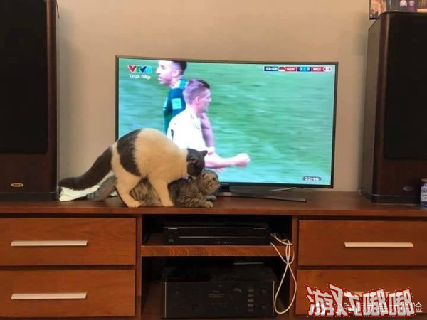 重庆市渝北一男子因母亲不让在家中看世界杯，便想到去俄罗斯就近看比赛，又觉得机票贵，就想偷偷从黑龙江边境过去。