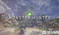 近日，外媒PC Gamer从卡普空官方获取了《怪物猎人世界（Monster Hunter World）》PC的相关画质选项相关截图，从中可以看出PC玩家将可以对游戏的画质做出大量自定义调整。