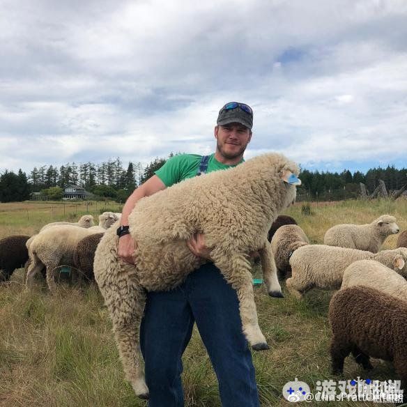 星爵克里斯·帕拉特今日在社交网络晒出一组图片，置身农场抱着大肥羊，一脸开心。