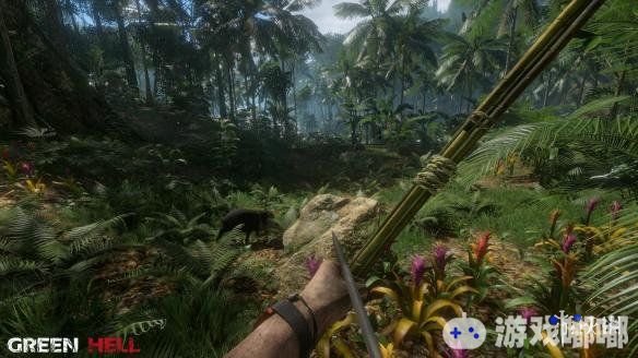 《丛林地狱（Green Hell）》这款细致模拟在亚马逊热带雨林中求生的游戏即将在8月29号在Steam平台发售抢先体验版。