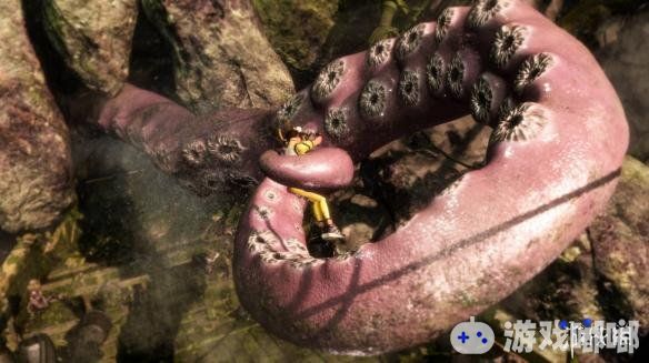 《死或生6（Dead or Alive 6）》将于2019年年初发售，近日，法国网站Playscope曝光了游戏中瞳、雷芳的新截图，一起来欣赏一下吧！