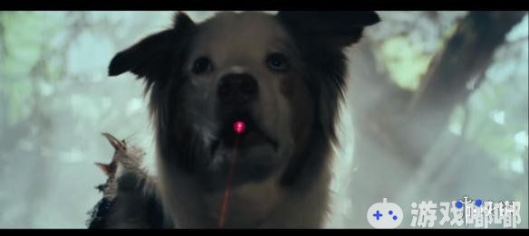 8月26日是美国“爱狗日”，为表示庆祝，《古墓丽影：暗影（Shadow of the Tomb Raider）》官方发布了一段萌化的特别版视频，让小狗狗上演营救行动与猫咪斗智斗勇！