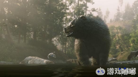 R星《荒野大镖客2（Red Dead Redemption 2）》游戏细节新发现，野生动物的行为会随着季节的变化而变化。