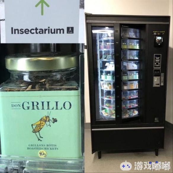 出售昆虫零食的自动贩卖机你见过吗？日本出现贩卖奇特商品的贩售机，不知道你们敢尝试吗？