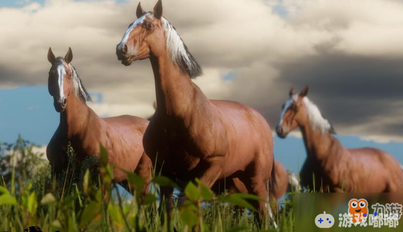 《荒野大镖客2》马匹获得方法及作用一览