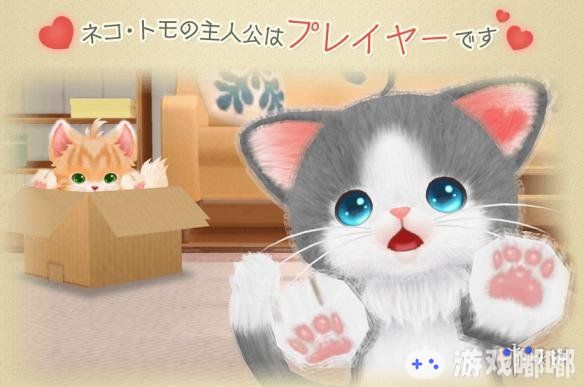 即将登陆Switch/3DS平台的万代南宫梦最新萌宠游戏《NEKO-TOMO》新情报公开，和可爱萌猫一起生活吧！