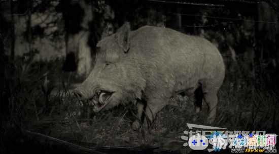《荒野大镖客2》野猪位置及狩猎方法介绍
