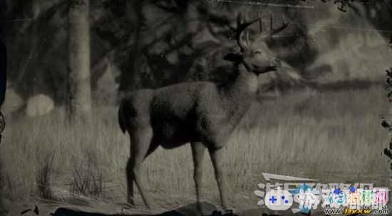 《荒野大镖客2》白尾鹿位置及狩猎方法介绍