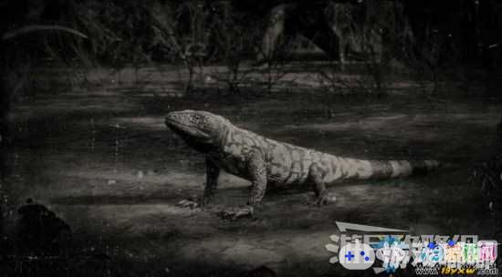 《荒野大镖客2》带纹吉拉毒蜥位置及狩猎方法介绍